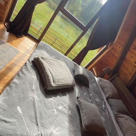 Lux Vila Moticki Gaj Žabljak エクステリア 写真